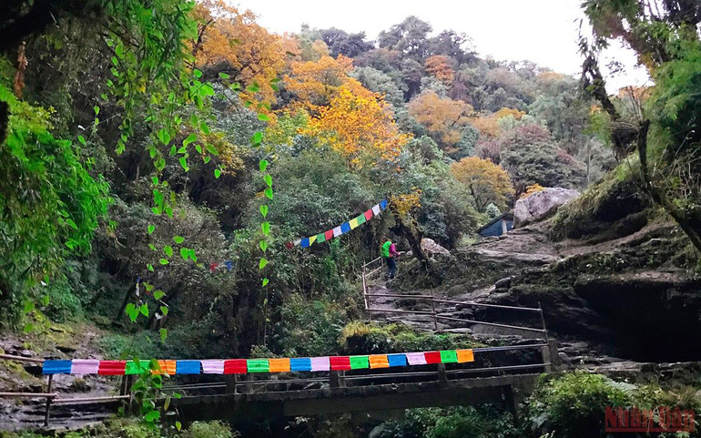 Sắc thu rực rỡ ở Nepal -0