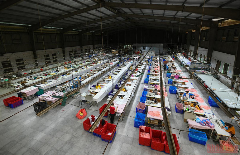 Các doanh nghiệp trong nước nỗ lực vượt khó, tăng đà phục hồi -0