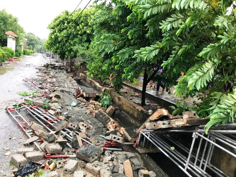 Bão số 5 đã gây sập nhà, đổ cây -0