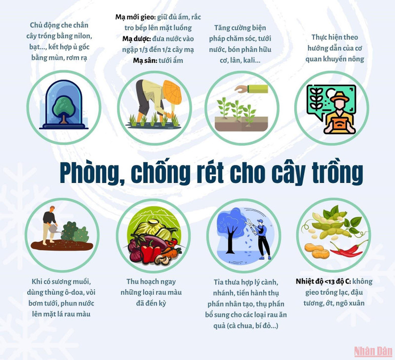 Giữ ấm hiệu quả trong ngày rét đậm, rét hại -0