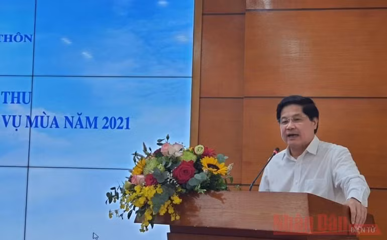 Tập trung bám sát đồng ruộng và thu hoạch dứt điểm vụ Hè thu -0