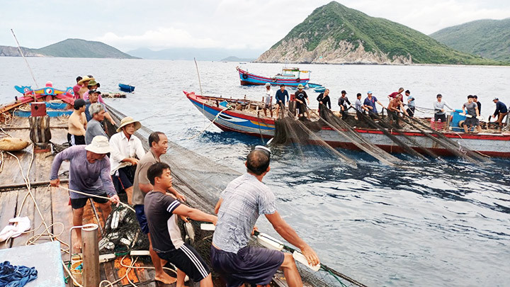 Độc đáo nghề lưới đăng -0