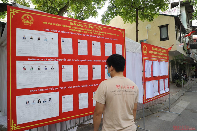 Cử tri theo dõi danh sách các ứng cử viên. 11_bau_cu-1621729277912.jpeg