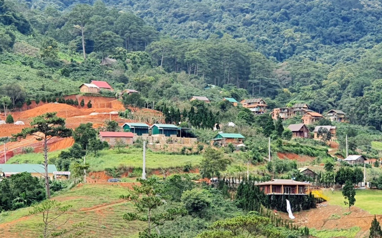 Khó có thể tưởng tượng đây là “làng biệt thự” trái phép. 6_Kho_de_tuong_tuong_day_la_lang-1604032055670.jpg