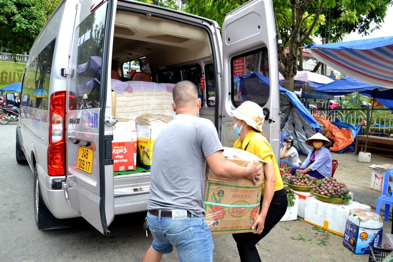 Mùa mận chín trên “cao nguyên trắng” Bắc Hà -0