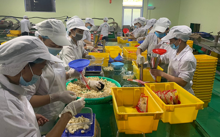 Giữ “vùng xanh” cho sản xuất và đời sống -0