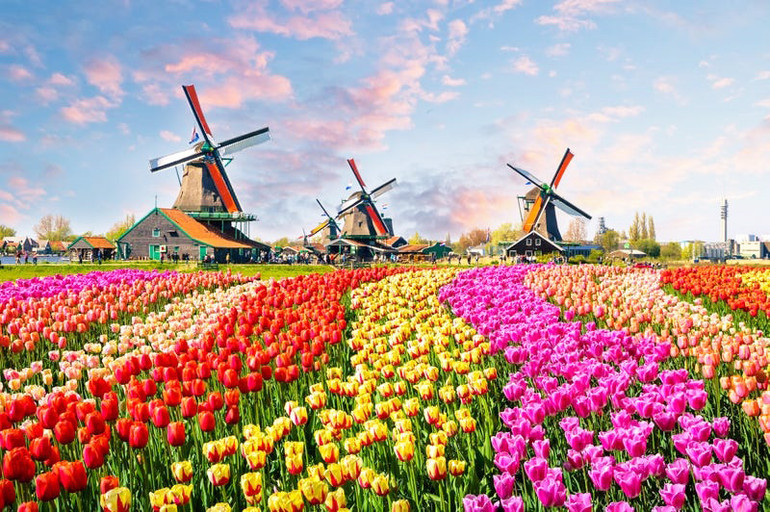 Nằm giữa Amsterdam và Hague, Keukenhof là một trong những vườn hoa lớn nhất thế giới. Mỗi năm, 7 triệu củ hoa được gieo trồng, bao gồm hoa tulip nổi tiếng của Hà Lan và các loại hoa khác như lục bình và thủy tiên. Mở cửa từ tháng 3 đến tháng 5, Keukenhof rực rỡ với những bông hoa đầy màu sắc vào mỗi mùa xuân. Mặc dù bị đóng cửa do Covid-19 trong năm nay, bạn vẫn có thể tham quan khu vườn nhờ công nghệ thực tế ảo. Những khu vườn ấn tượng trên thế giới -8