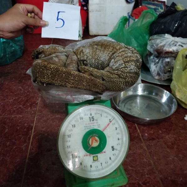 Khởi tố đối tượng mua bán động vật hoang dã -1