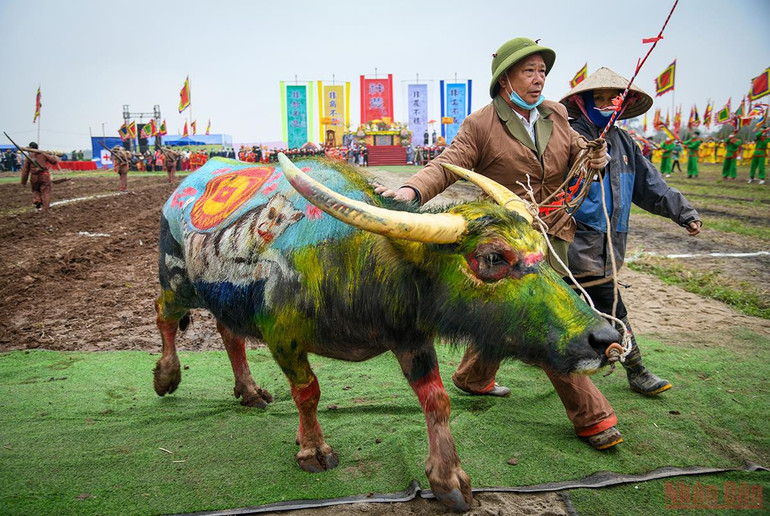 Chủ tịch nước Nguyễn Xuân Phúc xuống đồng cày ruộng tại Lễ Tịch điền Đọi Sơn -0