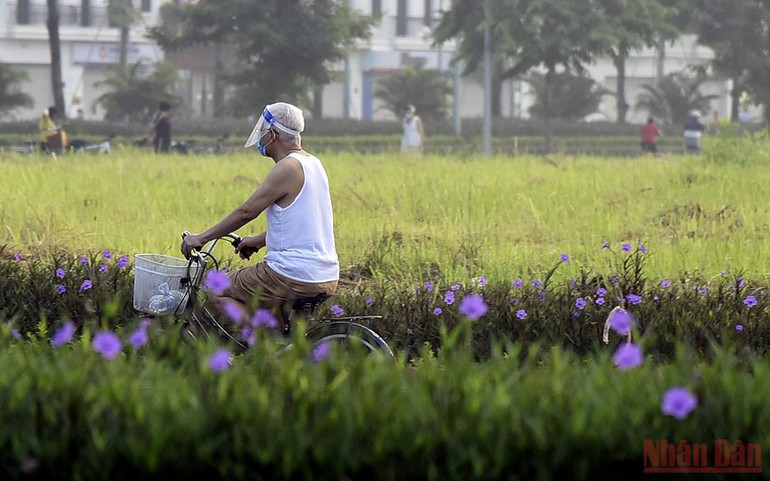 Người dân Hà Nội xuống đường tập thể dục sau nhiều ngày giãn cách -0