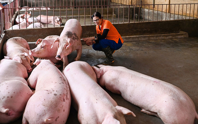 Sáng mãi “chất lính” trong thời bình -0