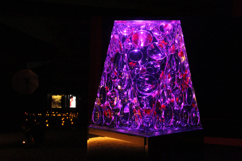Huyền bí sắc màu Art Aquarium ở thủ đô Tokyo -1