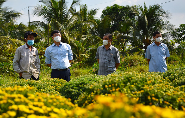 Niềm vui của bà con trồng hoa trước thềm xuân -0