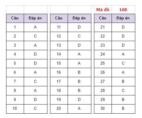 Gợi ý đáp án các mã đề môn Ngoại ngữ thi vào lớp 10 Hà Nội -1