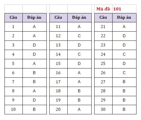 Gợi ý đáp án các mã đề môn Ngoại ngữ thi vào lớp 10 Hà Nội -0
