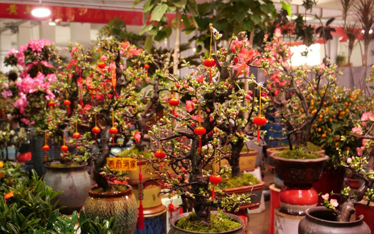 Chợ hoa Bắc Kinh chiều 30 Tết -0