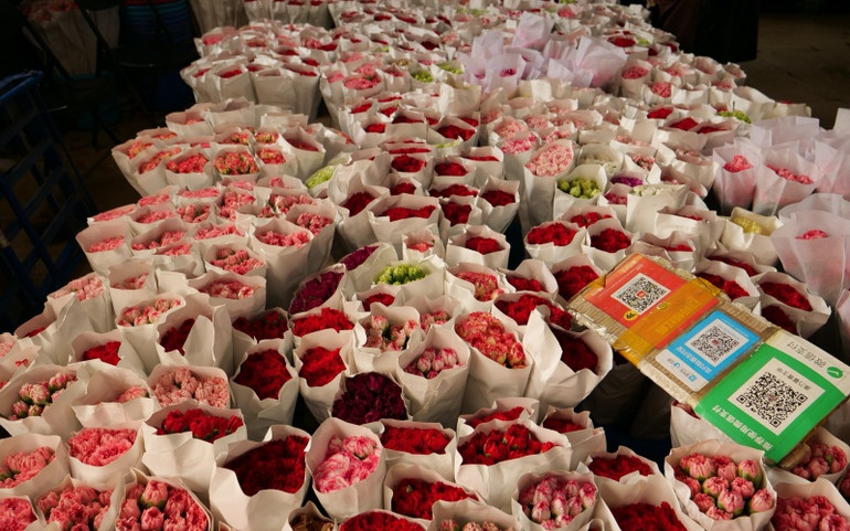 Chợ hoa Bắc Kinh chiều 30 Tết -0