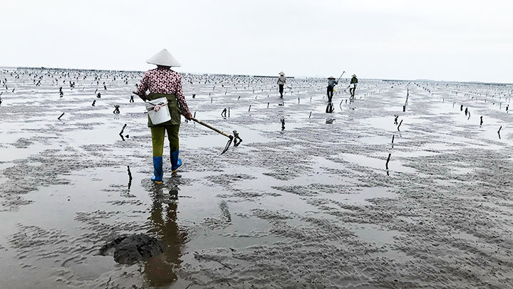 Mưu sinh ven biển Thụy Xuân -0
