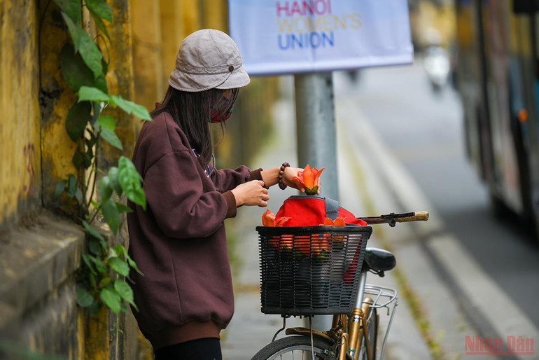 Hà Nội rực rỡ mùa hoa tháng 3 -0