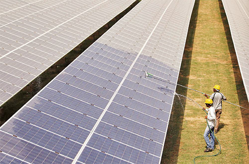 Ấn Độ nhanh chóng nổi lên như một cường quốc về điện mặt trời. Ảnh: REUTERS 4_2-1643077198441.jpg