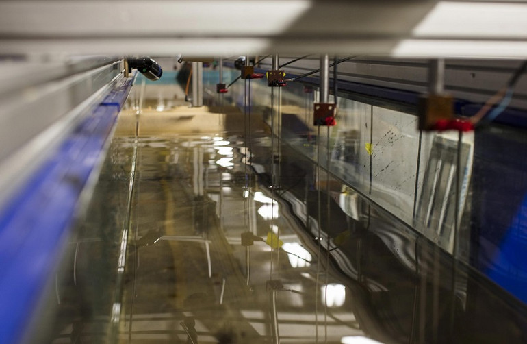 Các hòn đảo có thể không bị nhấn chìm khi mực nước biển dâng ảnh 1 Các hòn đảo có thể không bị nhấn chìm khi mực nước biển dâng ảnh 1