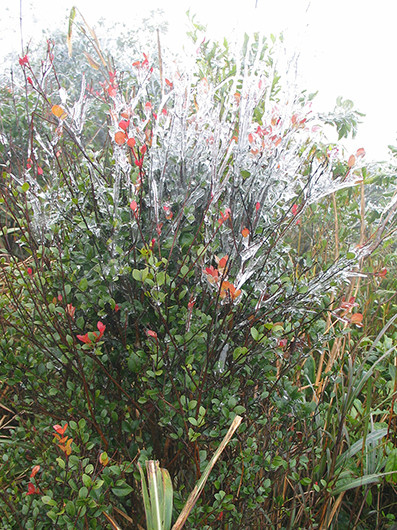 Nhiệt độ Mẫu Sơn âm 1,4 độ C, băng tuyết đã xuất hiện -0