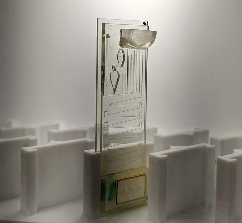 Xét nghiệm mới phân biệt SARS-CoV-2 với các virus corona khác chính xác 100% -0