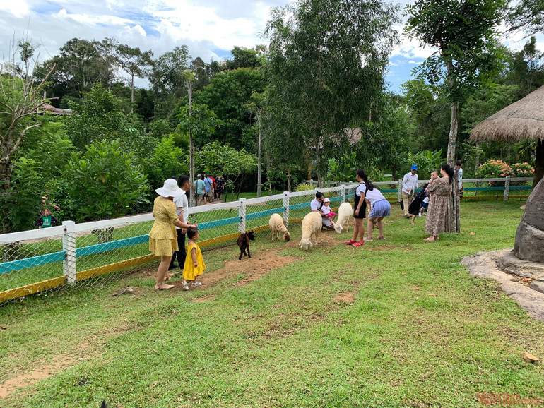 Trải nghiệm công viên động vật hoang dã Safari Phú Quốc -2