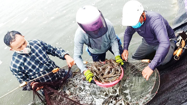 Xã “voi núi” đã hiện hình sức vóc -0