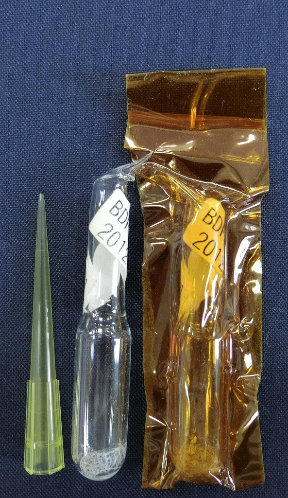 Tạo ra chuột khỏe mạnh từ tinh trùng lưu trong vũ trụ gần 6 năm -0