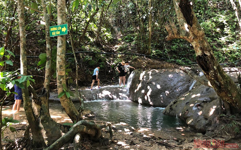 Lên núi “massage cá” -6