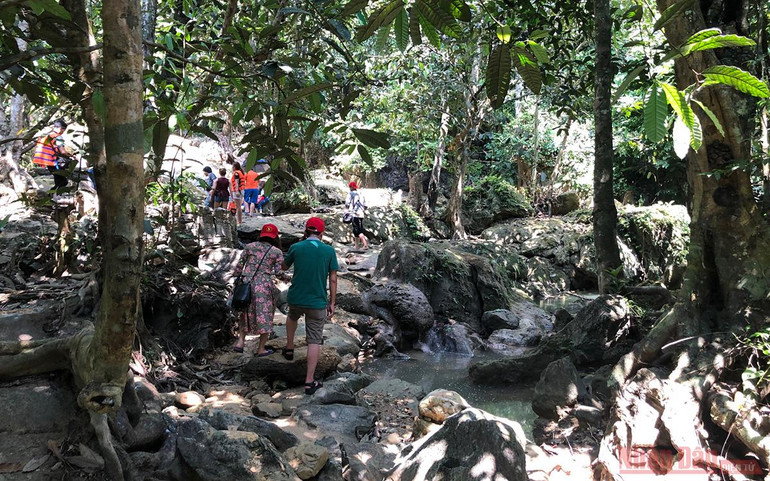 Lên núi “massage cá” -5