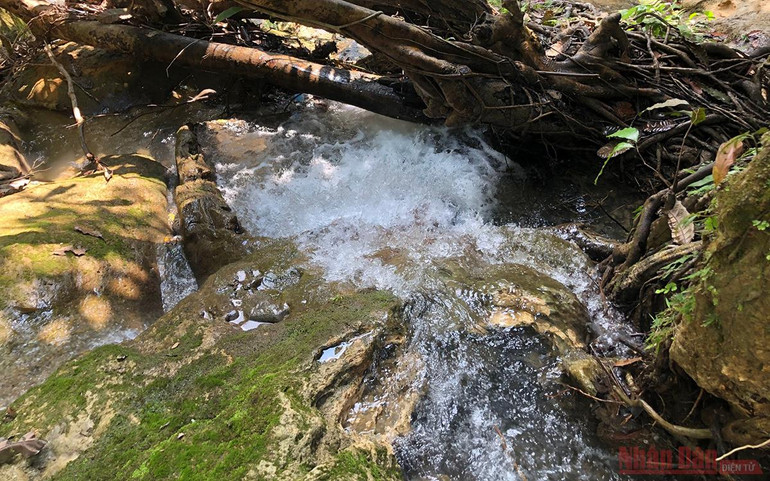 Lên núi “massage cá” -8