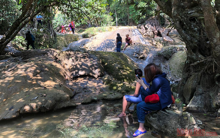 Lên núi “massage cá” -7