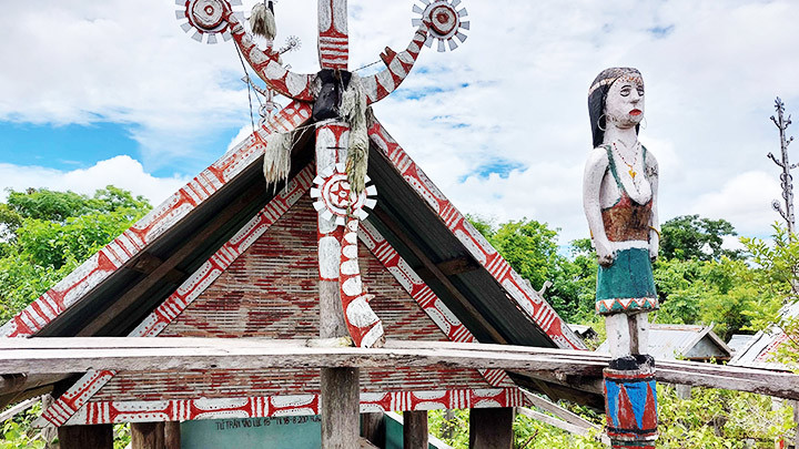 Lang thang... “rừng ma” Kông Chro (Kỳ 2) -0