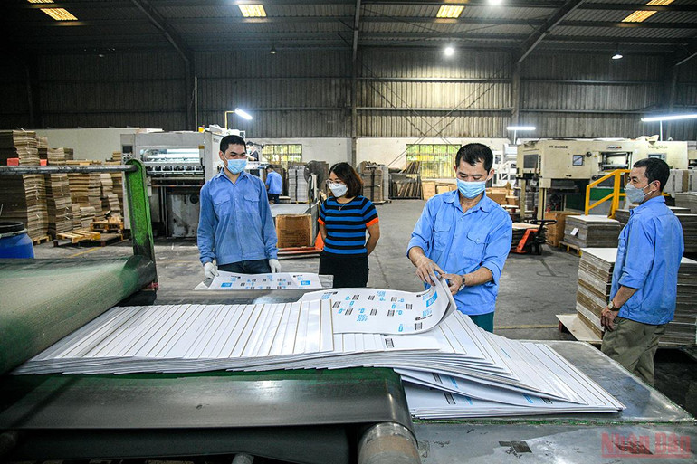 Các doanh nghiệp trong nước nỗ lực vượt khó, tăng đà phục hồi -0