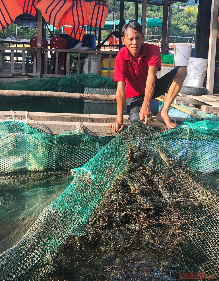 Khám phá mũi Đại Lãnh, Vũng Rô -1