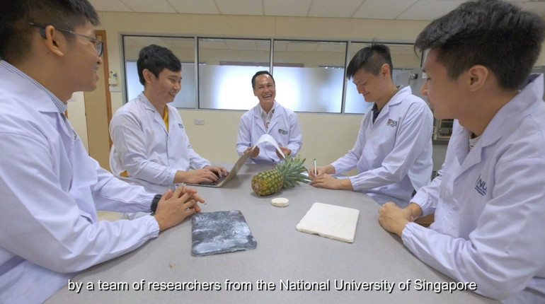 Nhà khoa học gốc Việt biến lá dứa thành vật liệu aerogel vô giá -0