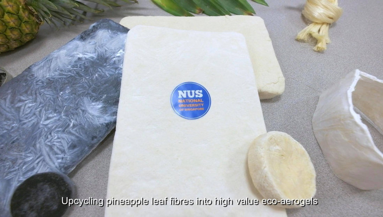 Nhà khoa học gốc Việt biến lá dứa thành vật liệu aerogel vô giá -0