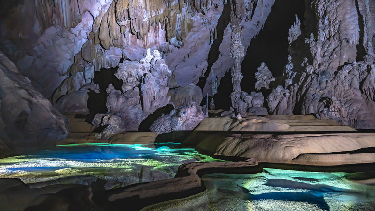 Cuộc phiêu lưu vào rừng thẳm -0