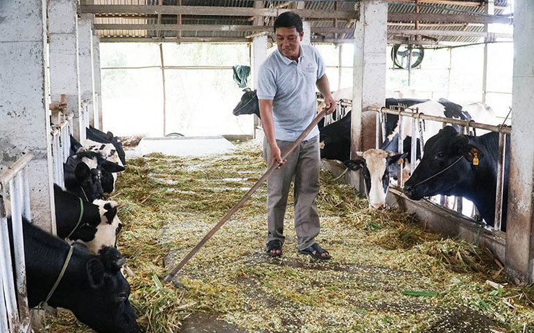 Người Khmer vượt khó, làm giàu -0