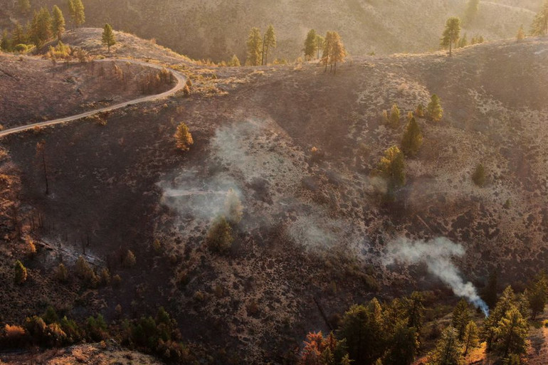 Nhiều cây cối bị đốt cháy sau vụ cháy rừng gần Wenatchee, Washington, Mỹ. Ảnh: Reuters. Khói do cháy rừng ở Mỹ khiến trăng rằm tháng 7 chuyển màu cam -0