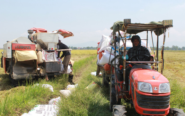 Cú huých trước Ngày hội lớn -0