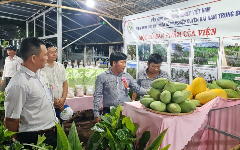 Gian hàng nông sản thu hút nhiều khách hàng đến tham quan. Bình Định: Khai mạc Ngày hội Nông sản huyện Hoài Ân lần thứ I năm 2022 -0