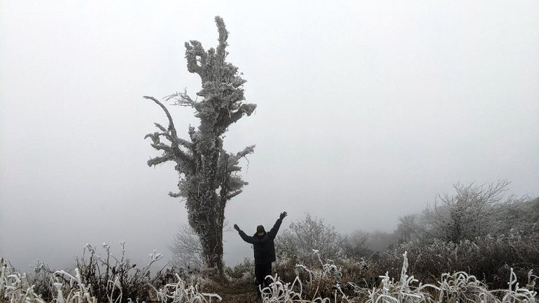 (đề nghị ghép tin Mẫu Sơn) -0