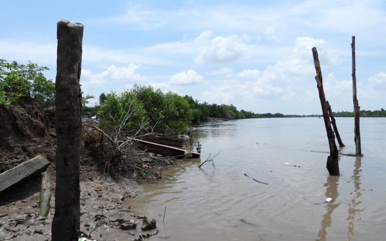 Cần xử lý triệt để vụ tái chiếm bến tự phát ở Hai Hạt, Bạc Liêu -0