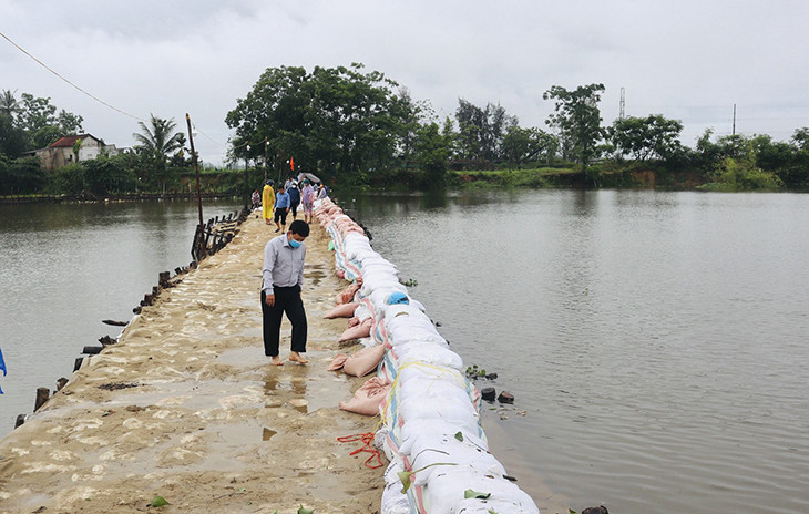 Đập tạm ngăn mặn trên sông Vĩnh Điện trước khi cuốn trôi. Nước lũ cuốn trôi đập ngăn mặn ở Quảng Nam -0