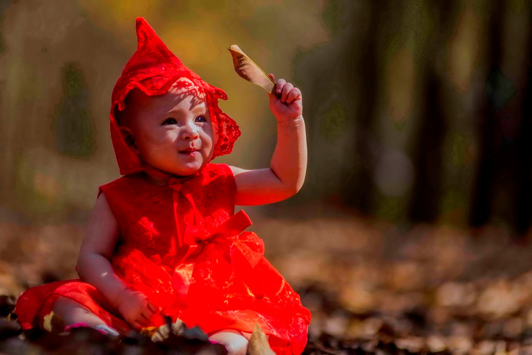 Trải nghiệm vẻ đẹp cao-su mùa thay lá ở Đồng Nai -0