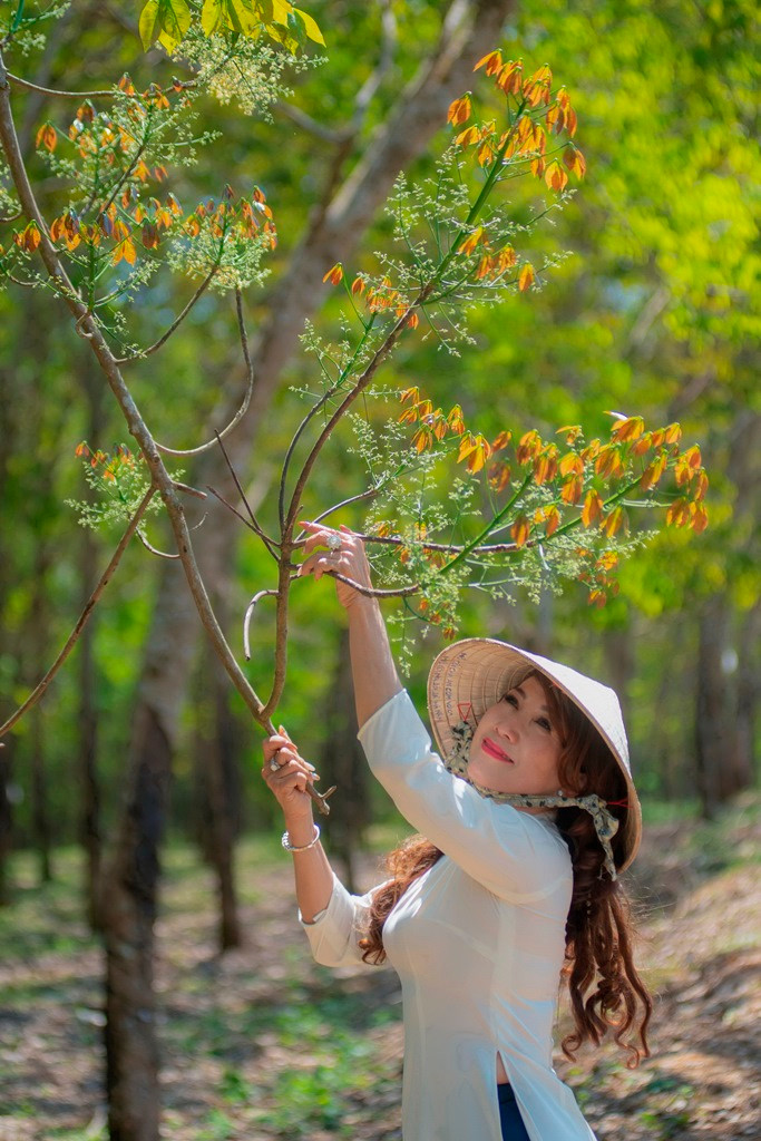 Thiếu nữ bên chồi non lá cao-su. Trải nghiệm vẻ đẹp cao-su mùa thay lá ở Đồng Nai -0