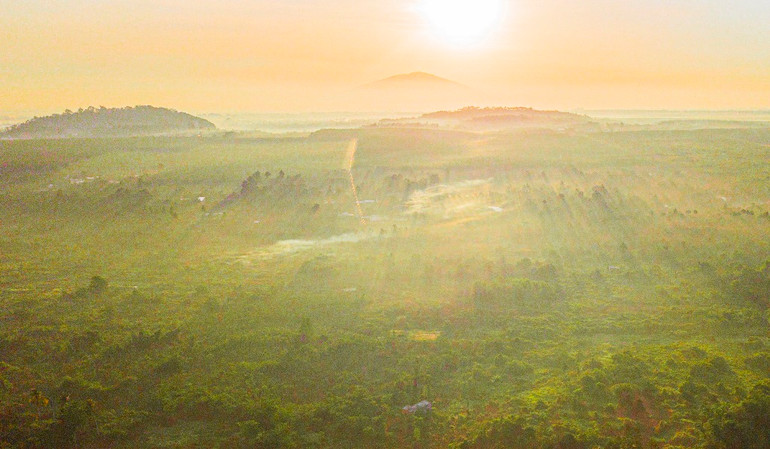 Rừng cao-su mùa thay lá nhìn từ trên cao khi ngày mới bắt đầu. Trải nghiệm vẻ đẹp cao-su mùa thay lá ở Đồng Nai -0